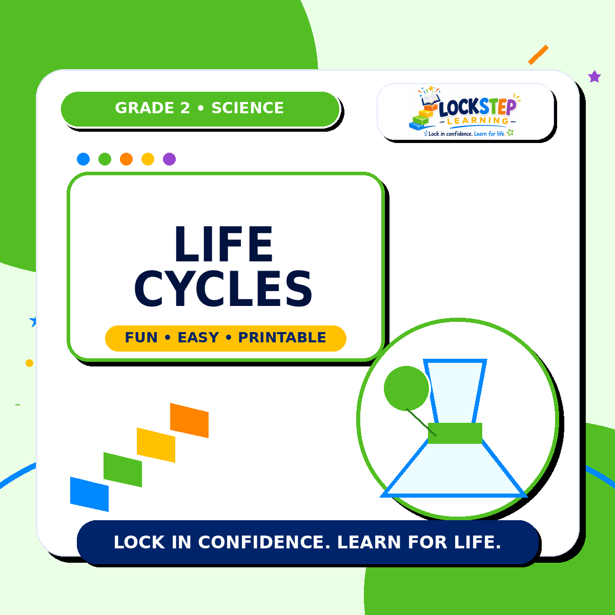Grade 2 Life Cycles