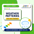 Grade 3 Weather Patterns