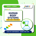 Grade 5 Human Body Systems