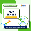 Kindergarten Five Senses